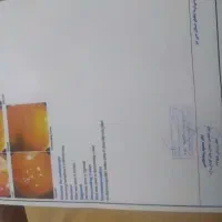 لغت نامه دهخدا