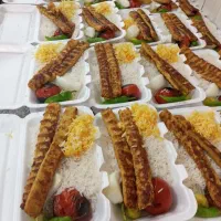 تهیه غذای کنزو.غذای آماده