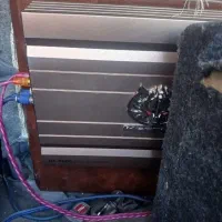 آمپلی هکتور آمریکایی