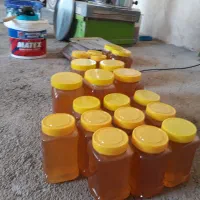 عسل طبیعی وخالص ۴۰گیاه|خوردنی و آشامیدنی|آوج, |دیوار