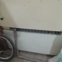 فن کوئل