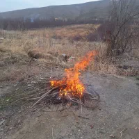 گردهمایی پیاده روی