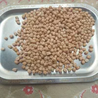 نخود بوجاری شده کرمانشاه