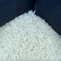 پخش برنج معصومی