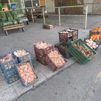 استخدام فروشنده زن یا مرد مغازه میوه فروشی