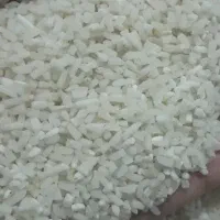 برنج لاشه هاشمی  امساله درجه ۱