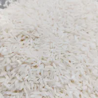 فروش برنج|خوردنی و آشامیدنی|کوچصفهان, |دیوار