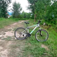 دوچرخه ۲۶ ویوا سالم