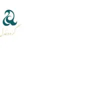 استخدام گرافیست