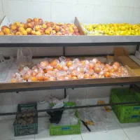 قفس میوه فروشی