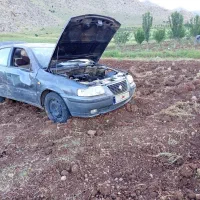 سمند تصادفی