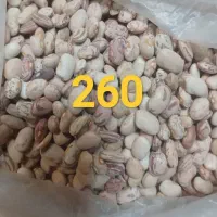 فروش لوبیای چیتی سرحد با قیمت و کیفیت خوب