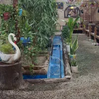 سالندار آقا و صندوقدار خانم