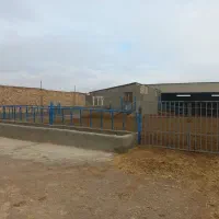 کارگر تمام وقت گاوداری