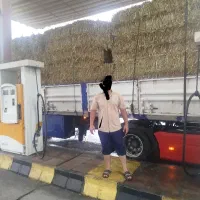 سوفال نیشکر