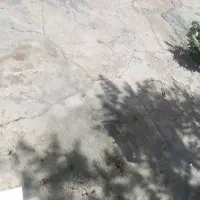 زمین-ساختی