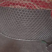 گرگور ماهی گیری|ماهیگیری|بندر کنگان, |دیوار