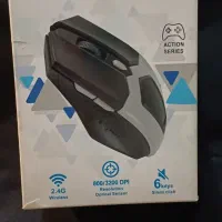 فروش انواع موس کینگ استار (تک و عمده )