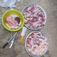 انواع گوسفند محلی دهات چریده|حیوانات مزرعه|قم, میرزائیه|دیوار