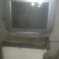 تلویزیون