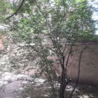 ۲۲۸مترزمین با۳۰۰متربنادوبلکس شمالی