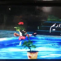 حراج لوازم خانه مونیتور  دستگاه تاتو   سگا    زنگ|حراج|کرج, برغان|دیوار