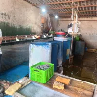 کارگر برای کار در آبکاری|استخدام صنعتی، فنی، مهندسی|اسلام‌شهر, کاشانک|دیوار