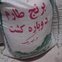 برنج طارم کشت دو