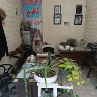 فروش مغازه و خانه