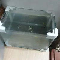 اکواریوم با ماهی