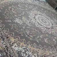 فرش ۱۲متری|فرش|کرمانشاه, |دیوار