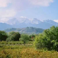 فروش زمینهای ۲۵۰ متری در نیاسر . دولت اباد