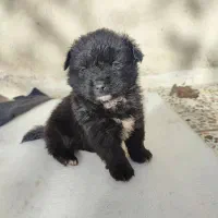 کوچولو بامزه