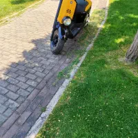 پاکشتی وکس
