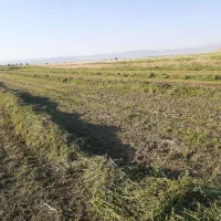 یونجه بسته شده