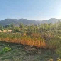 اجاره خانه مسکونی قیمت مناسب