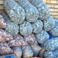 تولیدی بالش و روبالشی