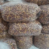 قصب سایز متوسط پاک شده فراشبند طعم و شهد بدون رقیب