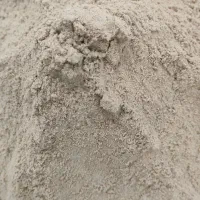 قوتو چهل گیاه خانگی