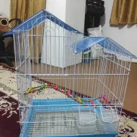 قفس برای پرندگان