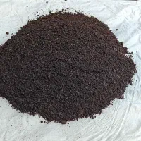 کمپوست جنگلی (هوموس گیاهی)