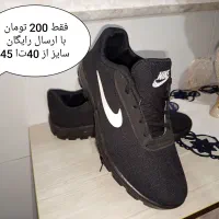 کفش|کیف، کفش، کمربند|قم, شاه ابراهیم|دیوار