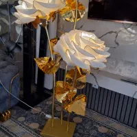 کنار سالنی
