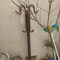 چوب لباسی ایستاده