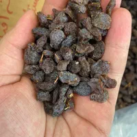 کشمش آفتابی و شیره خرما