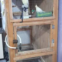 قفس بزرگ پرنده عروس هلندی . قناری . مرغ عشق