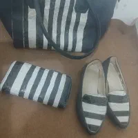 کیف وکفش ست