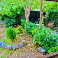 اجاره باق ویلا ساحلی|اجارهٔ کوتاهمدت ویلا و باغ|رویان, |دیوار