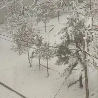 زمین-کوی-پزشکان-207-متر