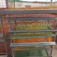 قفس ۵ طبقه بلدرچین